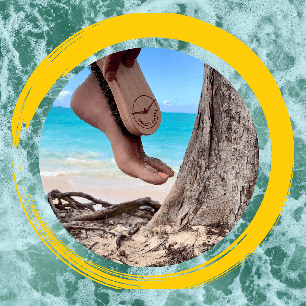 AuraFlick™ Soft-Bristle Sand Removal Brush (Beach & Surf Essential)